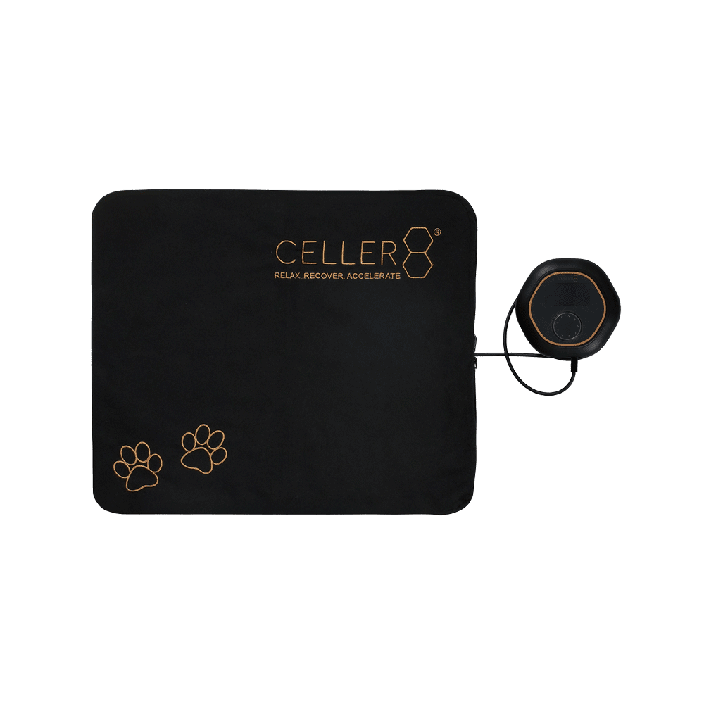 CELLER mini pet mat (front)